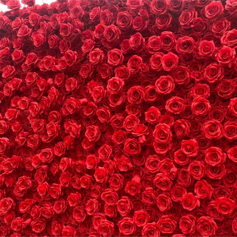 Uflower Red Rose 5D Panno Fior - Home Decor Event recensione e prezzo