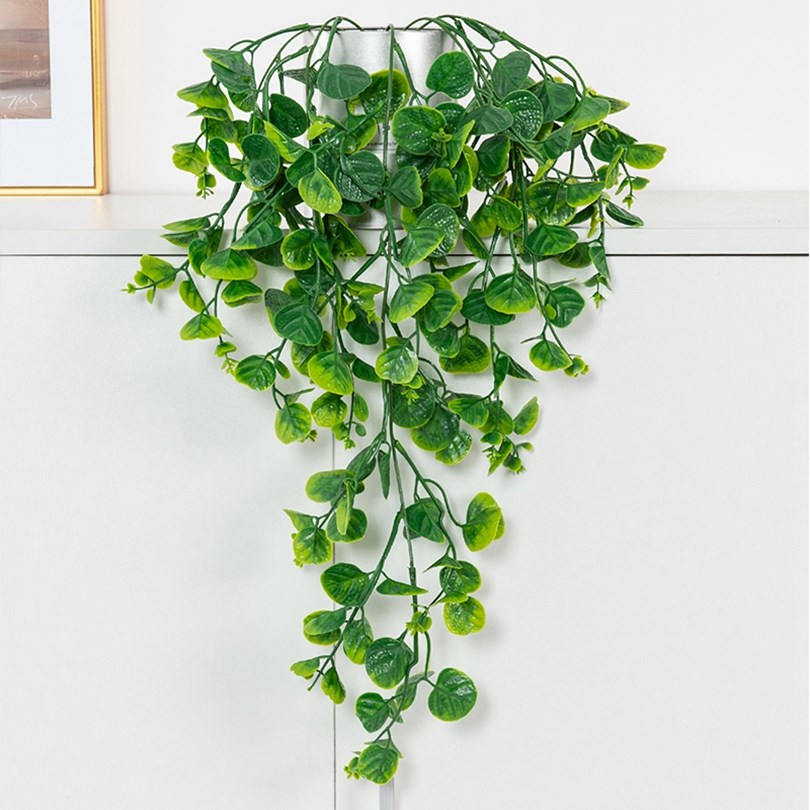 Foglie di Eucalipto e Felce Ar - Rattan Plant Basket recensione e prezzo