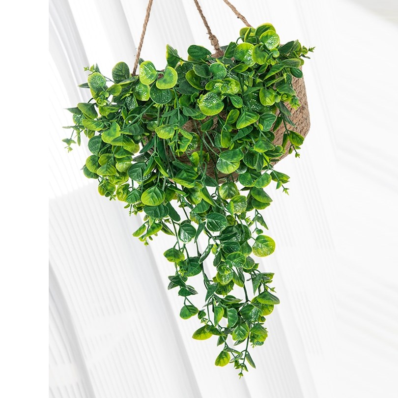 Foglie di Eucalipto e Felce Ar - Rattan Plant Basket recensione e prezzo