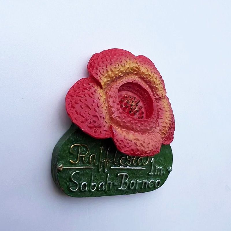 Malesia Sabah Borneo Rafflesia - Home Decor Malaysia recensione e prezzo