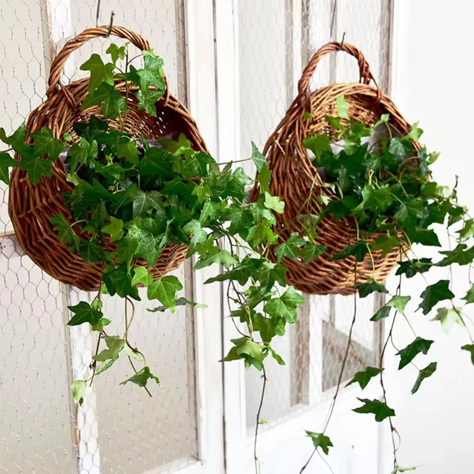 Fioriera da parete in rattan d - Rattan Plant Basket recensione e prezzo